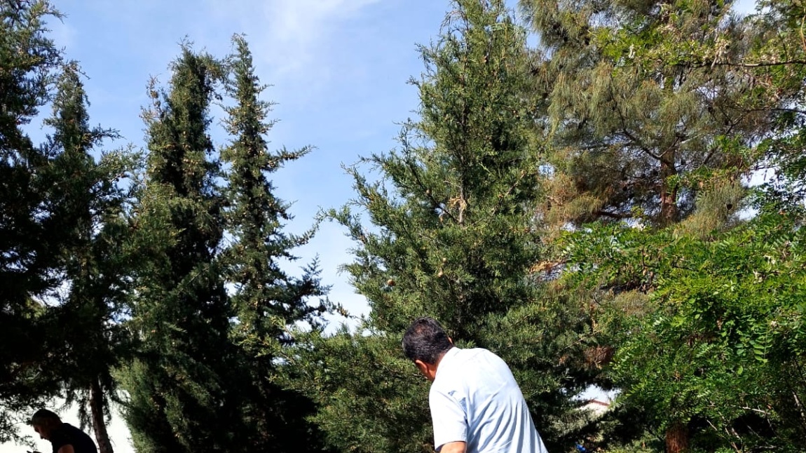 Okulumuz ağaçlarını budadık